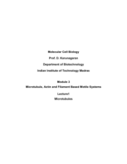 Molecular Cell Biology Prof. D. Karunagaran Department of