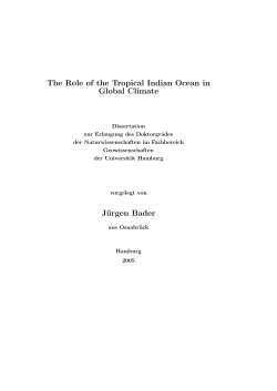 The Role of the Tropical Indian Ocean in Global Climate