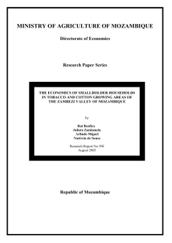 ministry of agriculture of mozambique