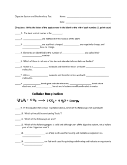 Digestive Test - Science main page