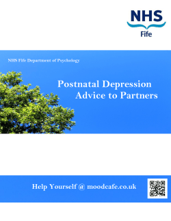 Postnatal Depression Advice to Partners
