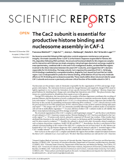 The Cac2 subunit is essential for productive histone binding