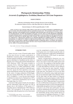 Phylogenetic Relationships Within Arctornis (Lepidoptera: Erebidae