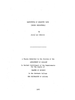 KARYOTYPES OF SELECTED BATS (ORDER CPHROPTERA) by