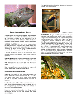 BASIC IGUANA CARE SHEET - Colorado Reptile Humane Society