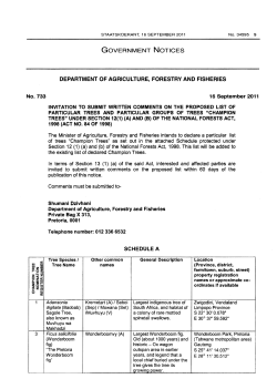 List of particular trees and particular group of trees (champion trees)