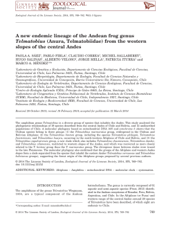 A new endemic lineage of the Andean frog genus