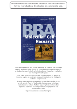 Crosstalk between apoptosis, necrosis and