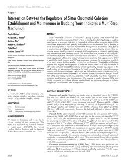 Intersection Between the Regulators of Sister Chromatid Cohesion