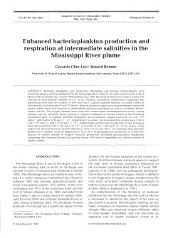 Enhanced bacterioplankton production and