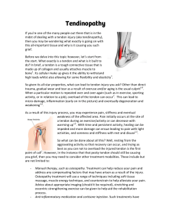 Tendinopathy - Valley Osteopathy