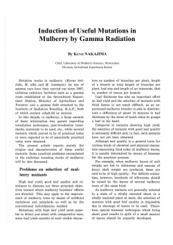 Induction of Useful Mutations in Mulberry by Gamma