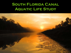 South Florida Canal Aquatic Life Study