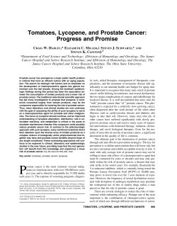 Tomatoes, Lycopene, and Prostate Cancer