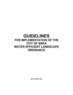 B. Guidelines