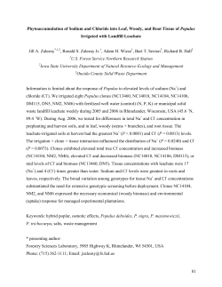 81 Phytoaccumulation of Sodium and Chloride into Leaf, Woody