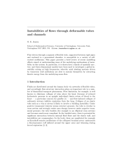 Instabilities of flows through deformable tubes and channels