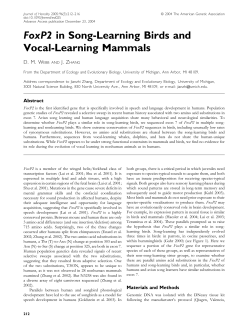 FoxP2 in Song-Learning Birds and Vocal