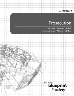 Prosecution - Domestic Abuse Intervention Programs