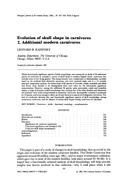 Evolution of skull shape in carnivores: 2. Additional modern carnivores