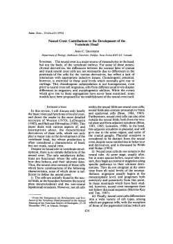 Neural Crest: Contributions to the Development of the Vertebrate
