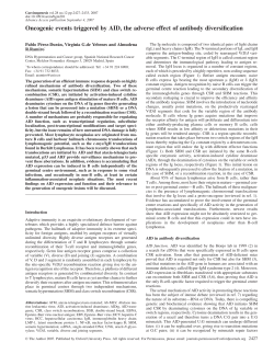 Oncogenic events triggered by AID, the adverse effect of antibody