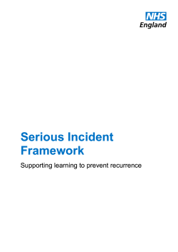 Serious Incident Framework Serious Incident Framework