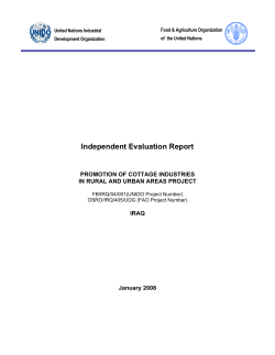 Independent Evaluation Report