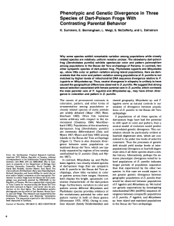 Phenotypic and Genetic Divergence in Three Species of Dart
