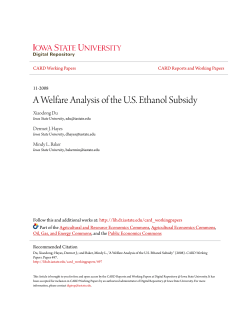 A Welfare Analysis of the US Ethanol Subsidy