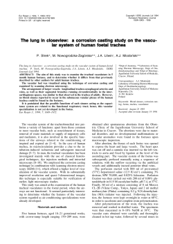The lung in closeview: a corrosion casting study on the vascu