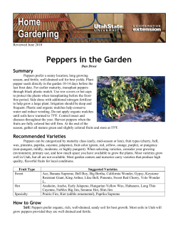 Peppers in the Garden - Utah State University Extension
