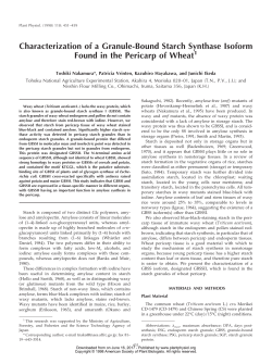 Characterization of a Granule-Bound Starch