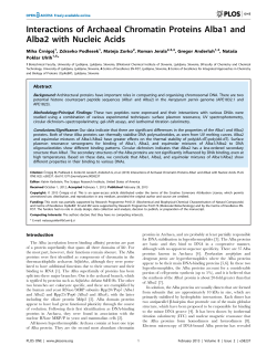 Interactions of Archaeal Chromatin Proteins Alba1 and Alba2 with
