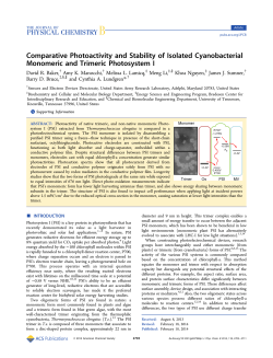 Comparative Photoactivity and Stability of Isolated Cyanobacterial
