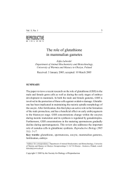 The role of glutathione in mammalian gametes