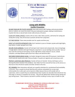 Living with wildlife conflict Prevention