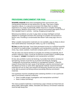 Attachment Providing Enrichment for pigs