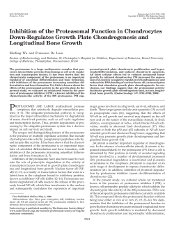 Inhibition of the Proteasomal Function in Chondrocytes Down