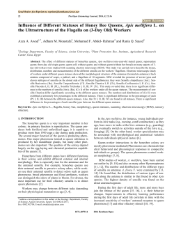 Influence of Different Statuses of Honey Bee Queens, Apis mellifera