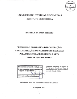 projeto de tese de doutorado - Reposit&oacute;rio da Produ&ccedil;&atilde;o Cient&iacute;fica e