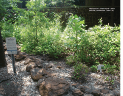 Chapter 1 - The Native Plant Society of New Jersey