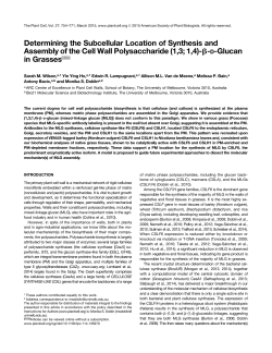 Determining the Subcellular Location of Synthesis and Assembly of