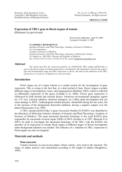 Expression of TRL1 gene in floral organs of tomato (Solanum