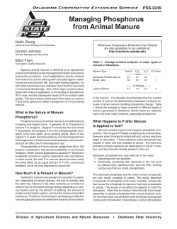 Managing Phosphorus from Animal Manure