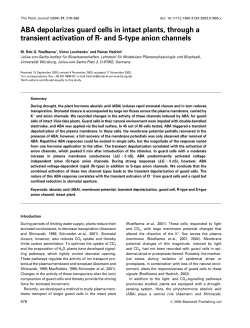 ABA depolarizes guard cells in intact plants, through a transient