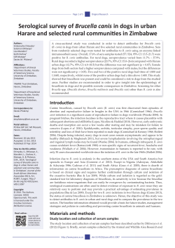 Serological survey of Brucella canis in dogs in urban Harare and