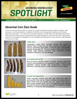 Abnormal Corn Ears Guide