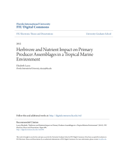 Herbivore and Nutrient Impact on Primary Producer Assemblages in