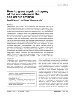 How to grow a gut: ontogeny of the endoderm in the sea urchin